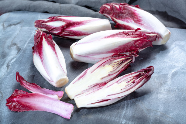 一组新鲜的红色菊苣或比利时菊苣蔬菜，也被称为witlof沙拉图片下载