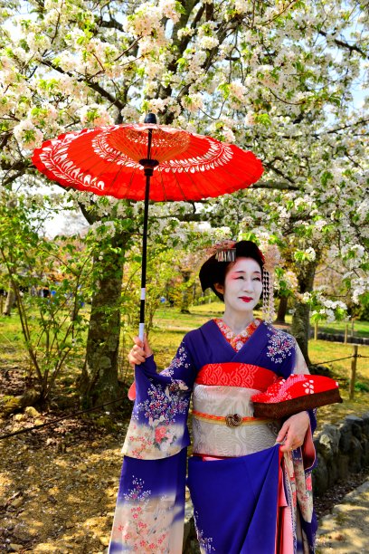 身着舞妓服饰发型的日系女子在京都享受春天图片下载