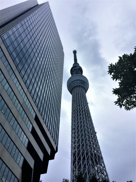 东京天空树和摩天大楼图片下载