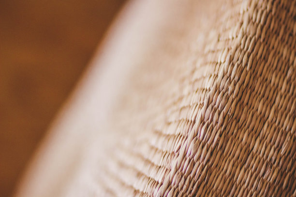 柳条装饰图片下载