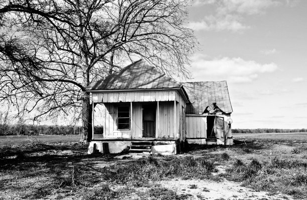 最后一个站着的房子图片下载