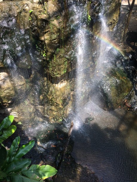 有彩虹横跨的瀑布图片下载