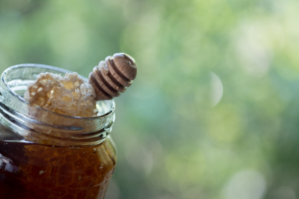 蜂窝和木棒模糊自然背景。有选择性的重点图片下载