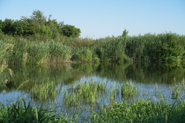 美丽的河流在农村地区。欧洲风景的俄罗斯和西伯利亚。美丽宁静的自然景色。股票的背景,照片。图片下载