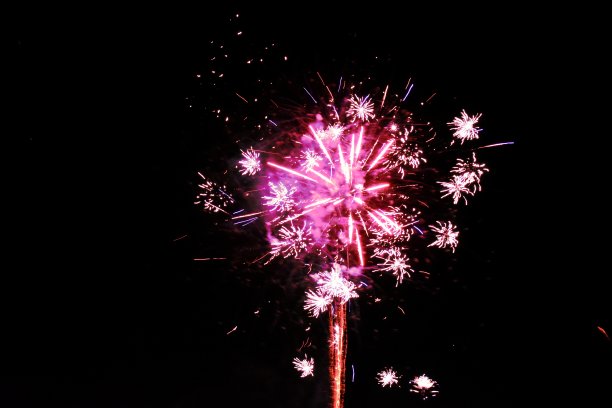 品红色的烟花孤立在黑暗的夜晚背景图片下载