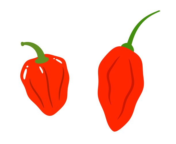 Boot Joloquia和habanero辣椒图片下载