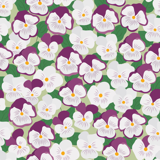 三色堇的快乐图片下载