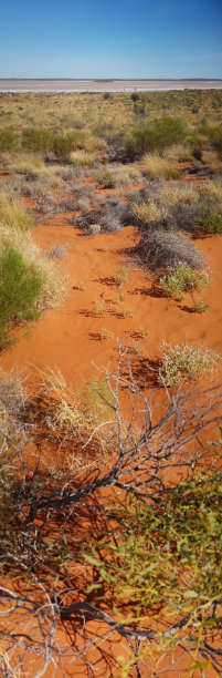 盐湖景观康纳山观景台。垂直的全景图片下载