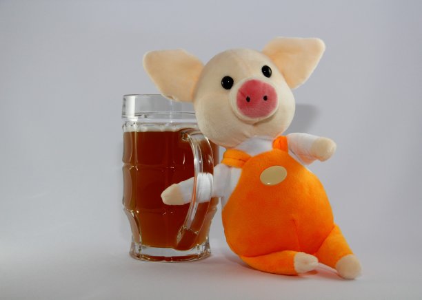 猪和啤酒图片下载