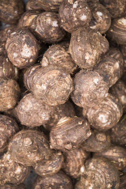 老挝琅勃拉邦市场食品图片下载