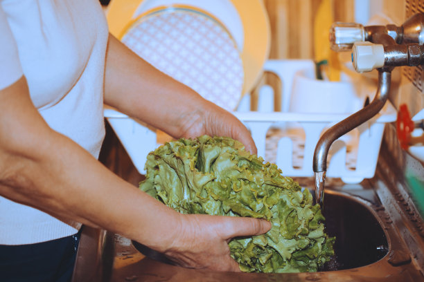 洗生菜叶的女人图片下载