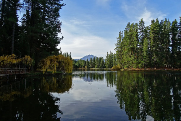 阿尔托·休穆尔图片下载