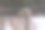 鸵鸟的美丽的眼睛图片下载