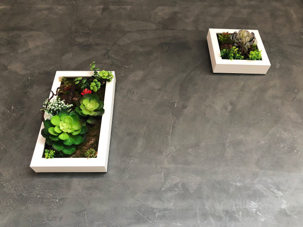 水泥墙上的白框人造花，装饰元素。图片下载