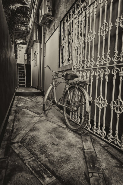 在篱笆图片下载