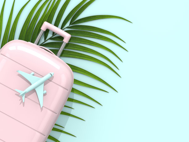 三维渲染手提箱与飞机在淡蓝色的背景图片下载