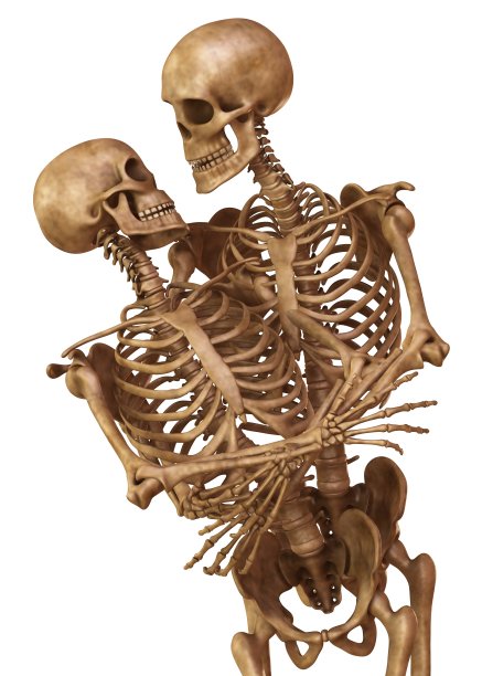 男人和女人的骷髅，摆着恋人的姿势。孤立在白色背景的3d插图图片下载