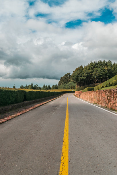 树木环绕的道路图片下载
