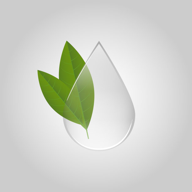 晶莹透明的水滴和绿叶。图片下载