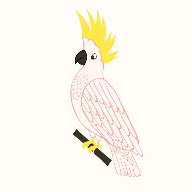 可爱的卡通鹦鹉鸟。金刚鹦鹉野生ara插图儿童书。图片下载