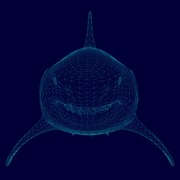 多边形鲨鱼线框架的蓝色线在一个黑暗的背景。前视图。3 d图片下载