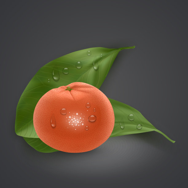 明亮的矢量集彩色段多汁橙。前视图。新鲜写实的橙子和带叶子的橘子图片下载