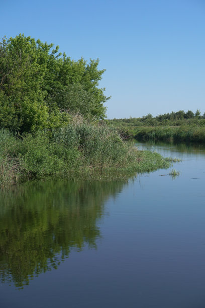 美丽的河流在农村地区。欧洲风景的俄罗斯和西伯利亚。美丽宁静的自然景色。股票的背景,照片。图片下载