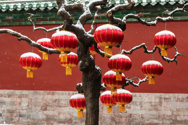 红色的中国灯笼挂在树枝上图片下载