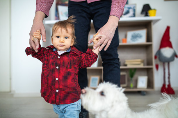 在父亲的帮助下迈出第一步图片下载