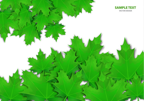 抽象的背景是从各种明亮的枫叶上白色的背景。时尚的现代设计的传单，海报，传单，横幅。矢量图图片下载