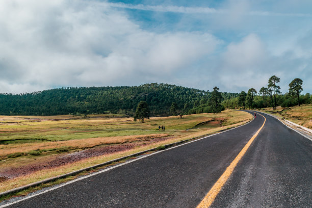 森林中的路图片下载