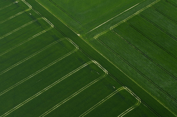 麦田鸟瞰图图片下载