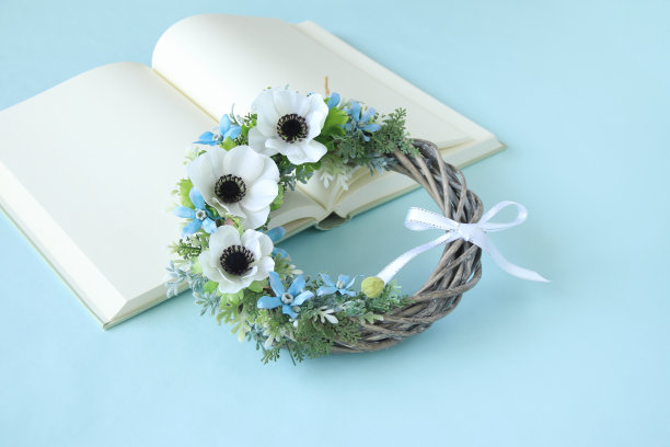 海葵花环图片下载