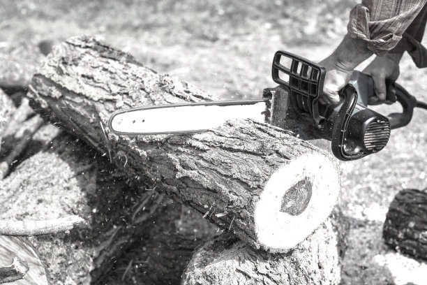 伐木工人在明亮的阳光下锯树。一个人用电锯锯木头。建筑和木材。股票的背景,照片。图片下载