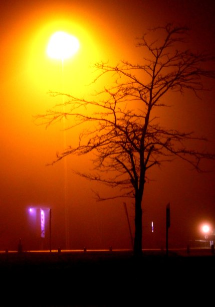 雾景观1图片下载