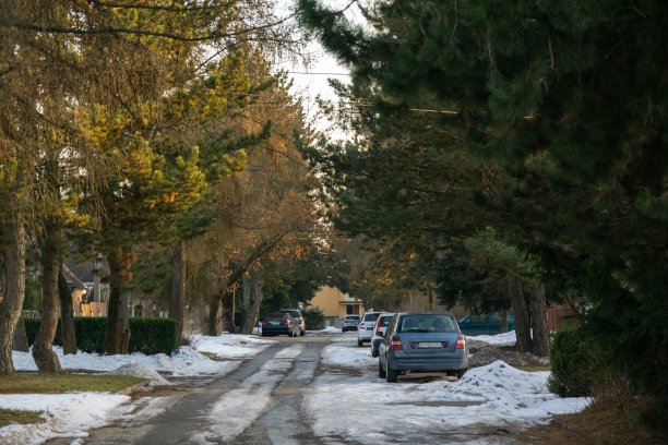 在冬天，街上的日落与雪。图片下载