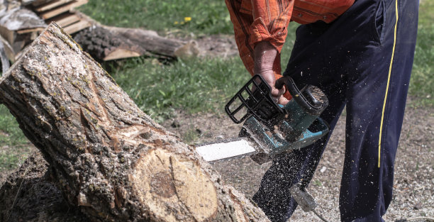 伐木工人在明亮的阳光下锯树。一个人用电锯锯木头。建筑和木材。股票的背景,照片。图片下载