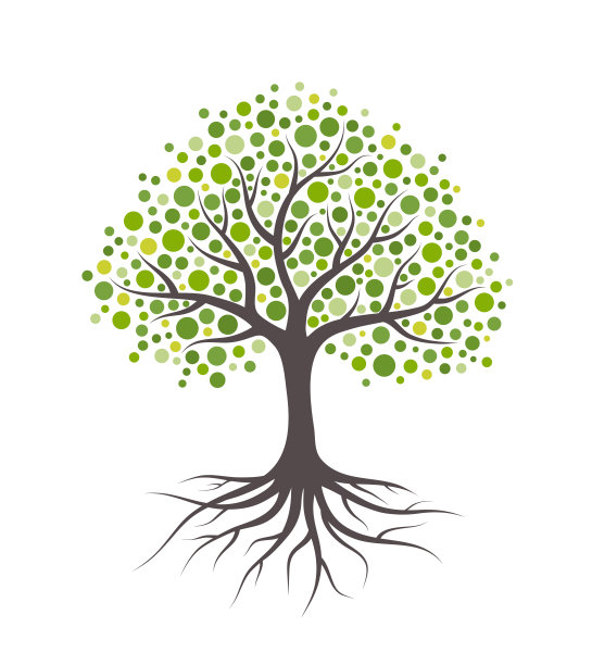 抽象的树，有根和绿色的圆叶。孤立在白色背景上。图片下载