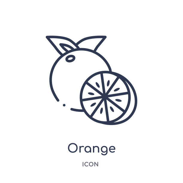 水果轮廓集合中的线性橙色图标。细线橙色图标隔离在白色背景上。橙色潮流插画图片下载