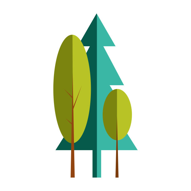 森林面积。冷杉树，公园，木材图片下载