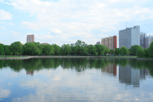 城市公园的夏天图片下载