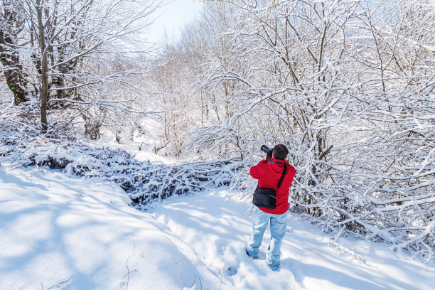 白雪覆盖的冬季花园中的自然摄影师图片下载