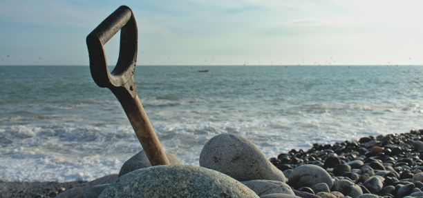 铁锹角图片下载