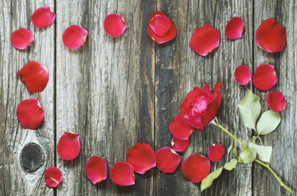 创意的布局与红玫瑰和花瓣在复古的桌子。平的。——图片图片下载