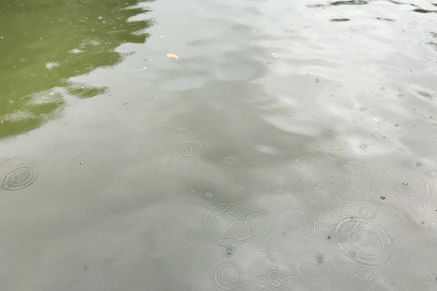 雨天河水的纹理图片下载