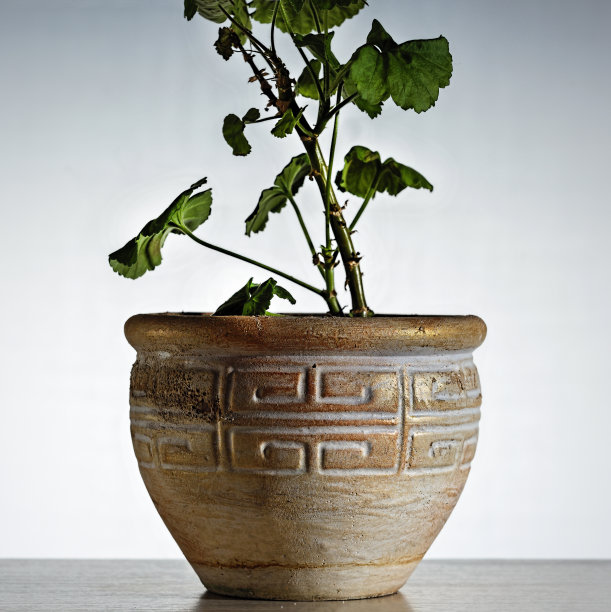 古董、陶瓷、花、壶、手工、花、孤立、白色背景、古董、图片下载