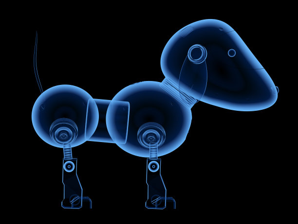 狗机器人x射线图片下载