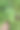 在希腊帕罗斯岛kolybithres海滩附近的cyclades田地里的西瓜图片下载