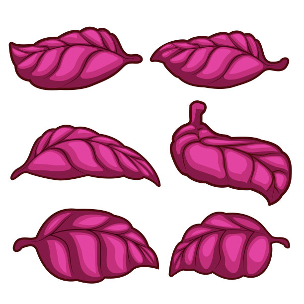 新鲜的红色罗勒叶孤立在白色背景。图片下载