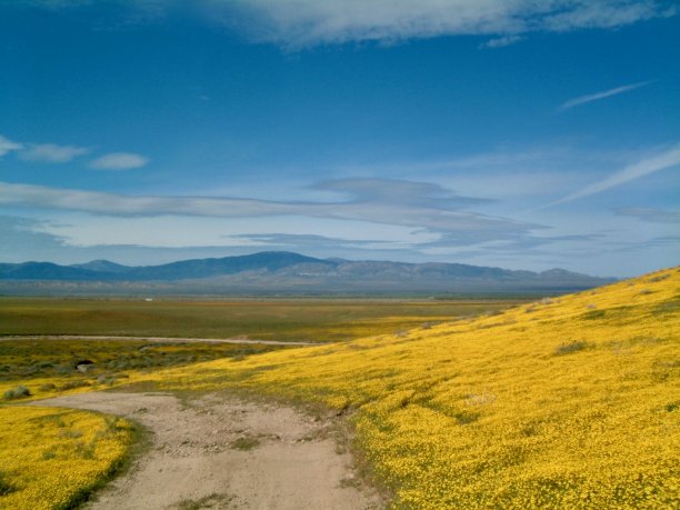 美国人的生活/黄山白色的道路在皮肤和山脉遥远。图片下载